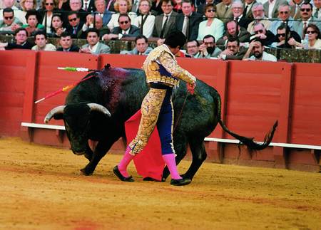 Porrero. Primer toro de la ganadería lidiado en la Maestranza de Sevilla